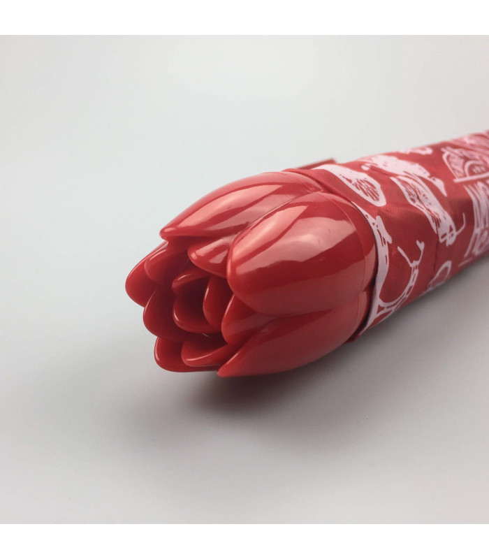 paraplu fietsen Amsterdam