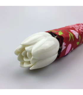 Paraplu's Holland tulpen compilatie