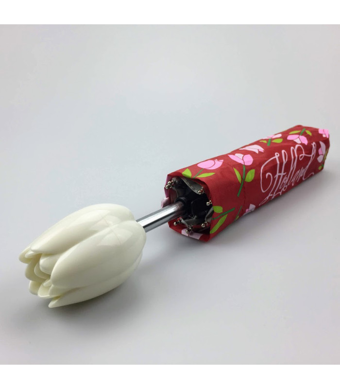 Paraplu's Holland tulpen compilatie