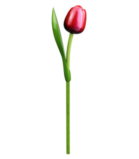 Houten tulp op steel 34 cm Red white