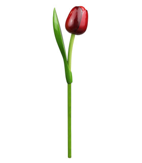 Houten tulp op steel 34 cm Red aubergine