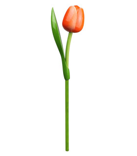 Houten tulp op steel 34 cm Orange white