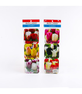 Set van 6 kurk onderzetters met tulpen | 5482