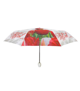 Paraplu's Holland tulpen compilatie