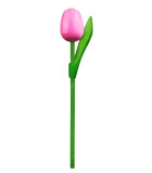 Tulp op steel 20 cm